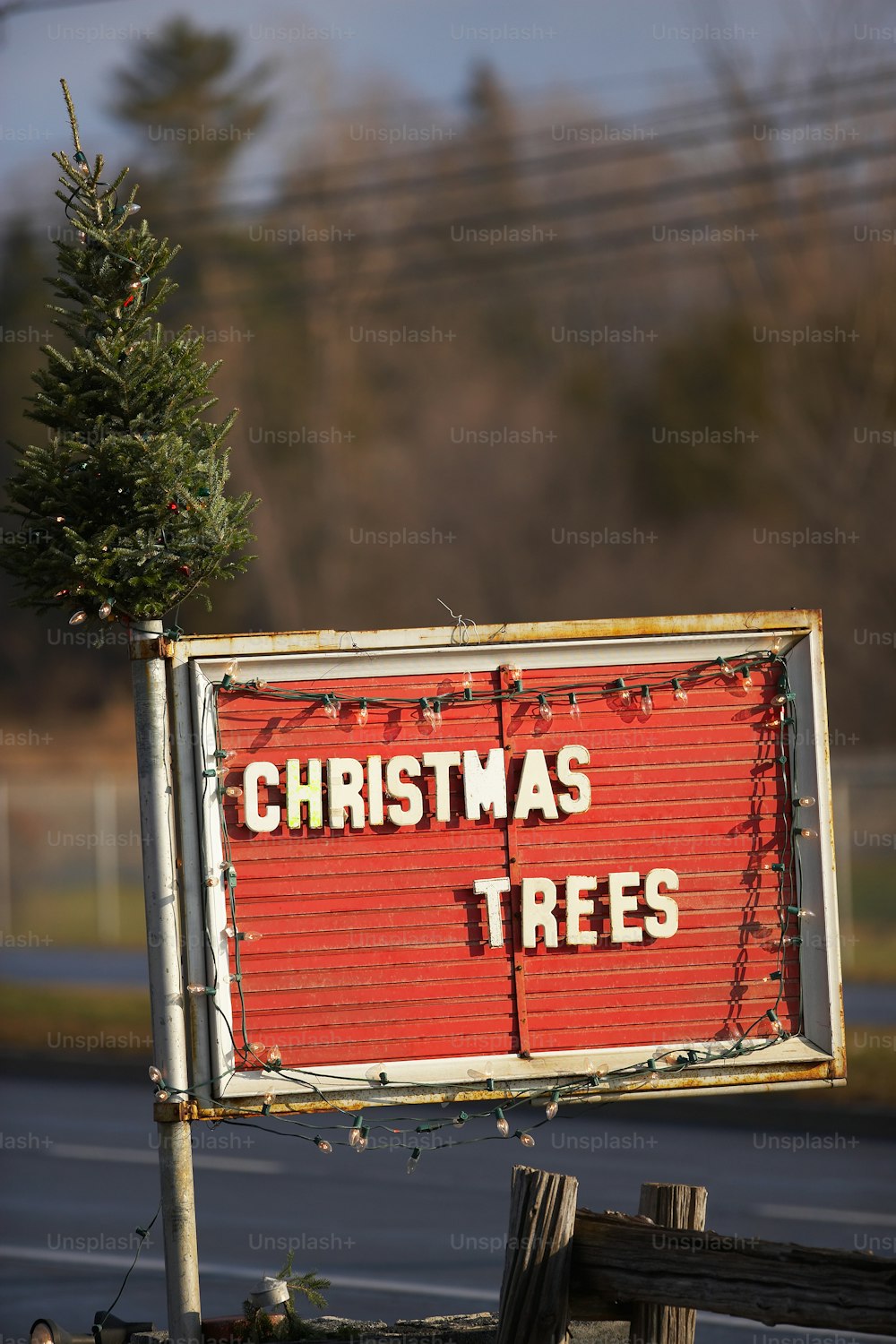 Uma placa que diz árvores de Natal nela
