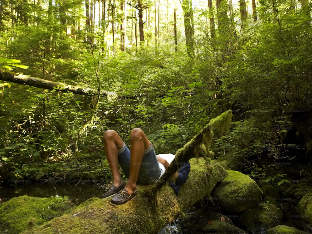 Ein Mann, der auf einem Felsen im Wald sitzt