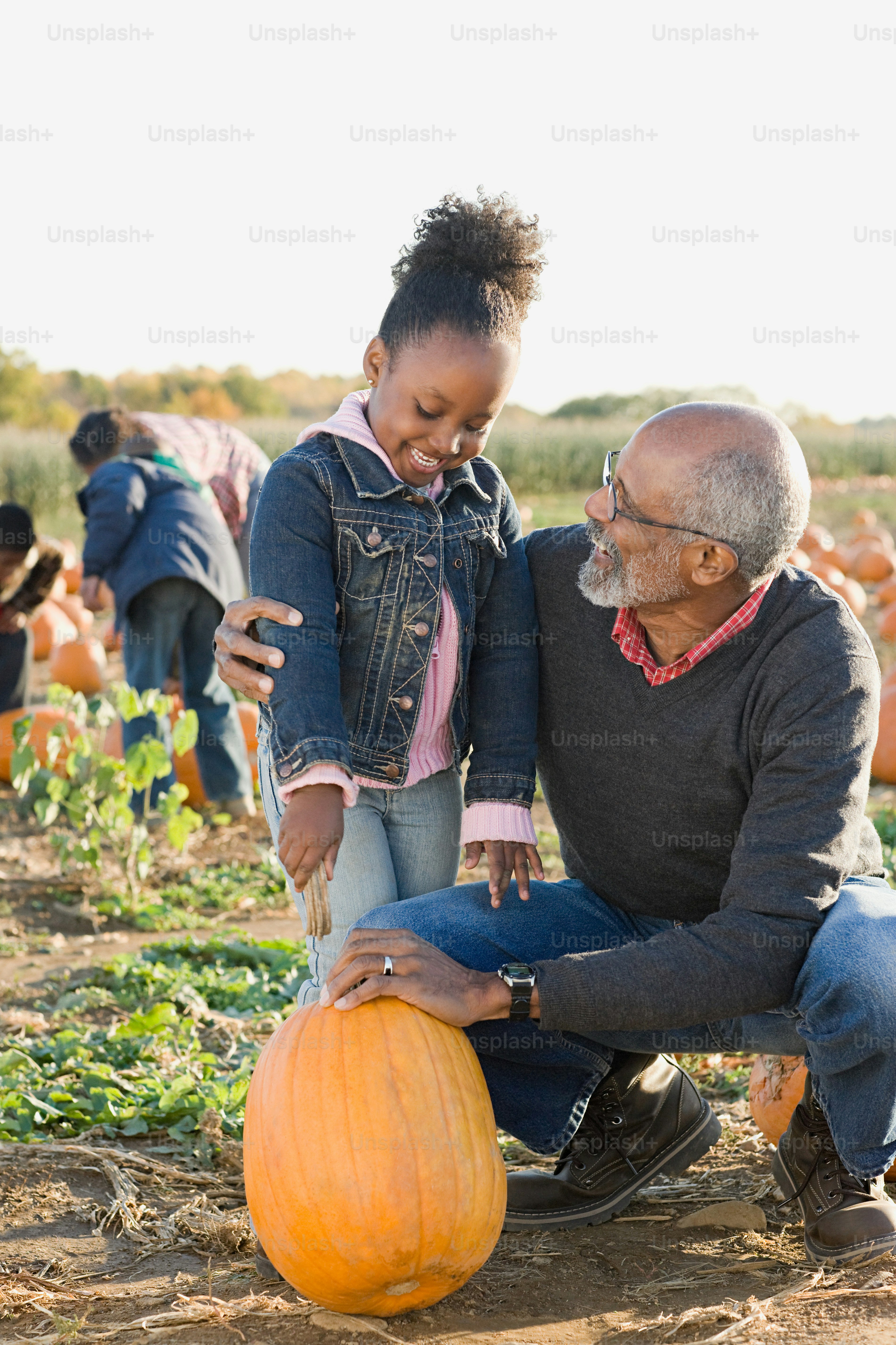 A man and a little girl sitting in a field of pumpkins photo – Girl ...