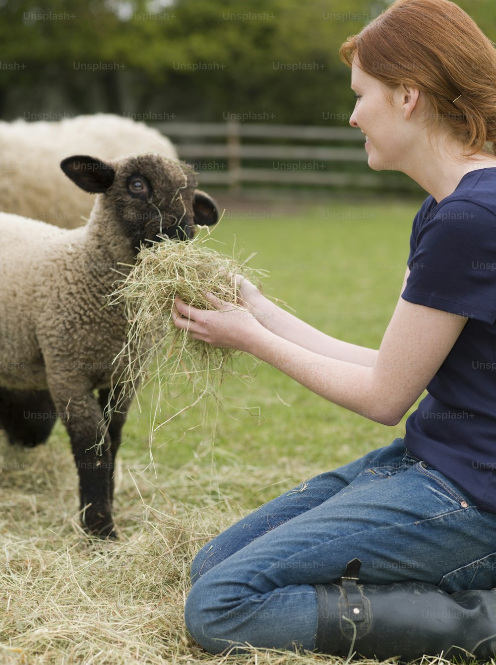 a woman sitting on the ground feeding a sheep
