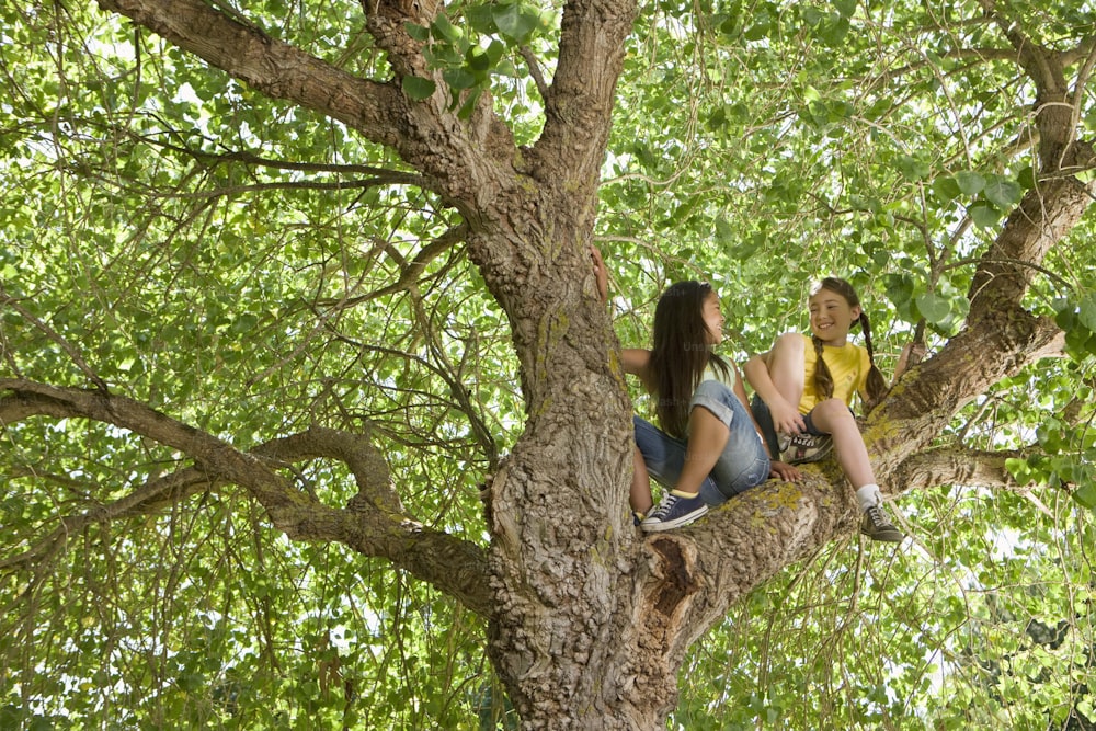 two girls sitting in a tree talking to each other