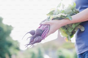 une personne tenant un bouquet de légumes dans ses mains