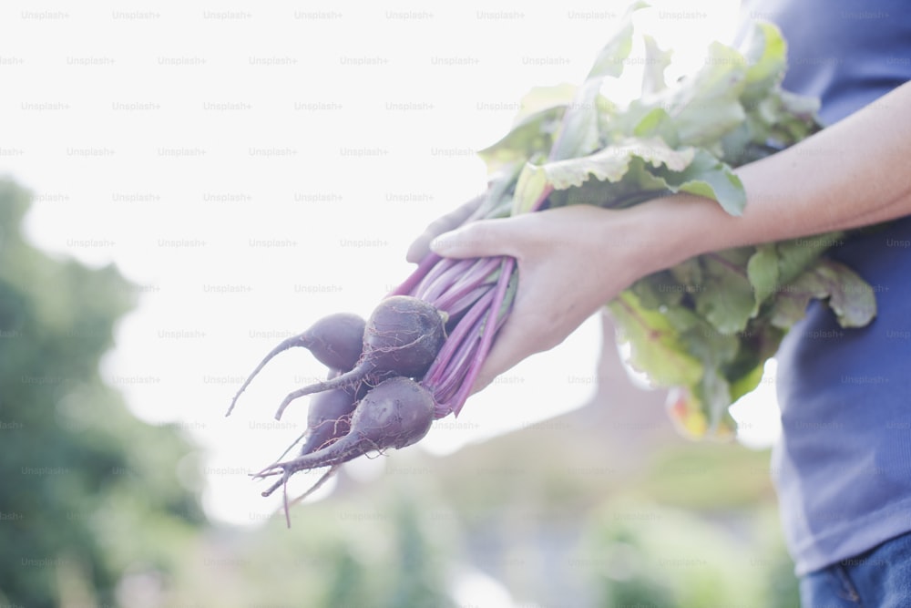 uma pessoa segurando um monte de vegetais em suas mãos