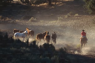 Eine Gruppe von Menschen, die auf einem Feld reiten