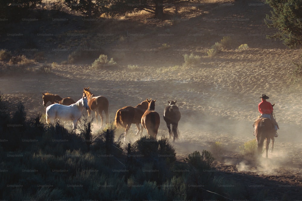 a group of people riding horses in a field