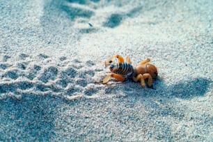 a couple of stuffed animals sitting on top of a sandy beach