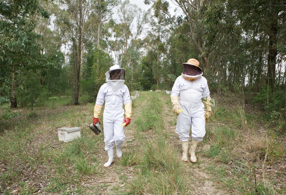 two people in bee suits walking through a forest
