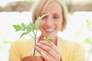 Una mujer sosteniendo una planta en sus manos
