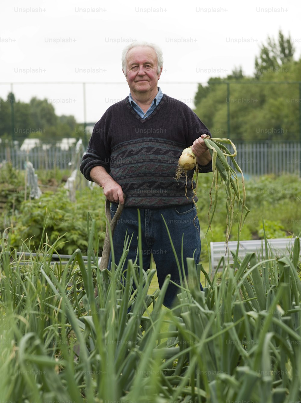 a man standing in a field holding a plant