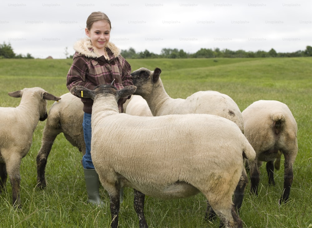 a girl in a field with a bunch of sheep