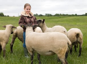 a girl in a field with a bunch of sheep