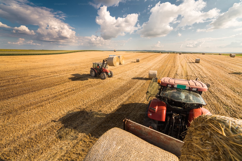 Agriculture straw wagon in farm field