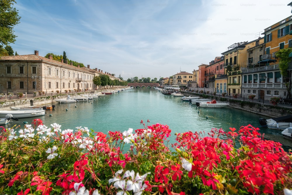 Colorata cittadina di Peschiera del Garda con barche e fiori di geranio sfocati. La città si trova sul lago Lago di Garda, a est di Venezia, Italia, Europa.