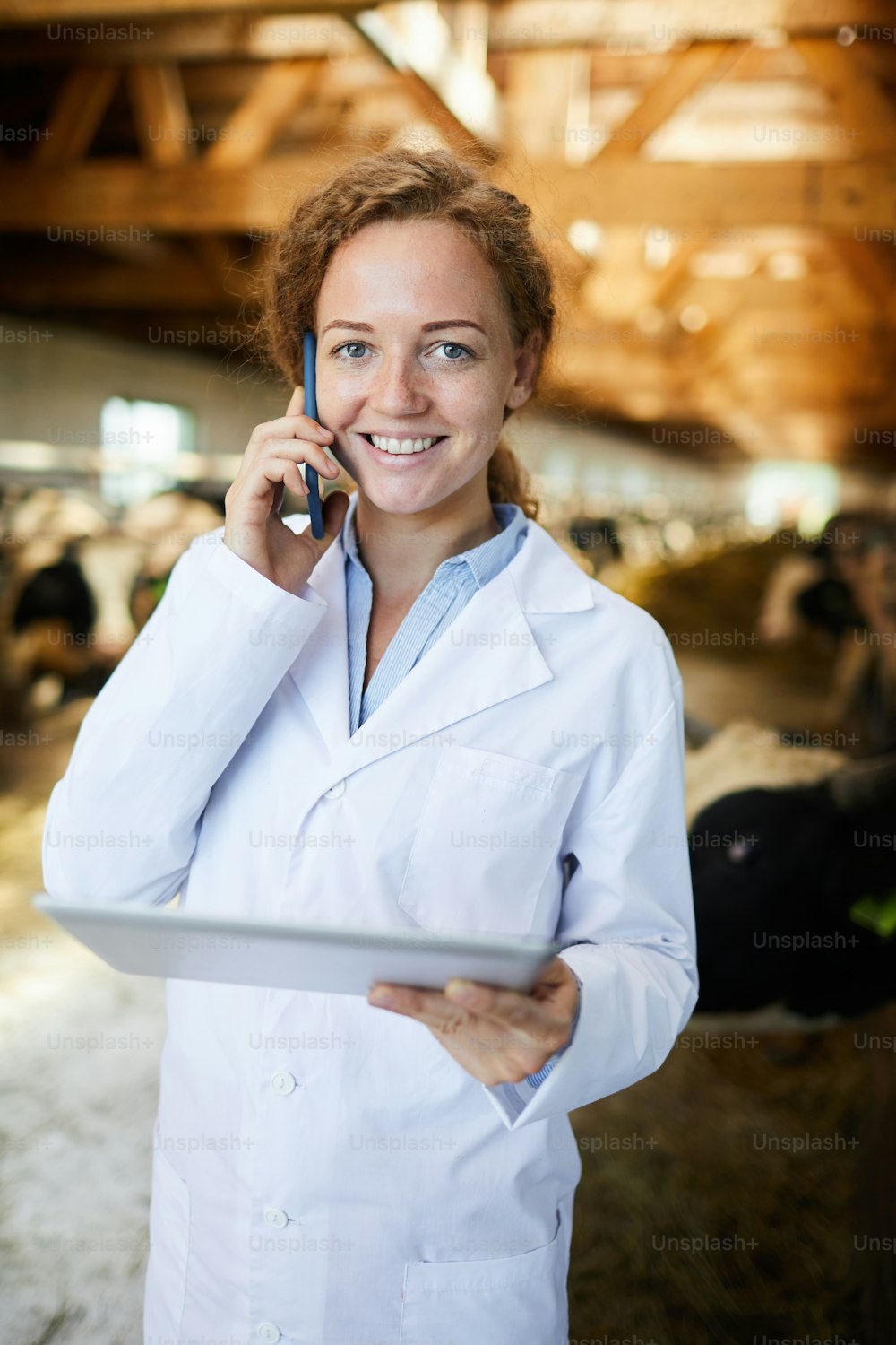 Ritratto di allegra lavoratrice agricola che parla al telefono e guarda la macchina fotografica in piedi nella stalla delle mucche mentre lavora in una moderna azienda lattiero-casearia