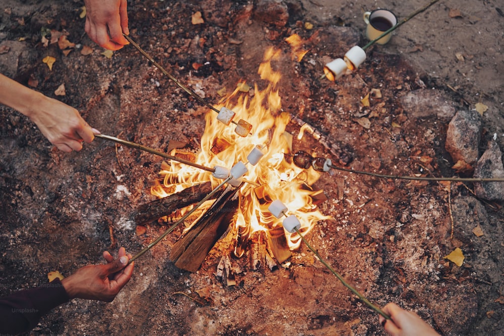 Nahaufnahme von jungen Leuten, die Marshmallows über einem Lagerfeuer rösten, während sie im Freien campen