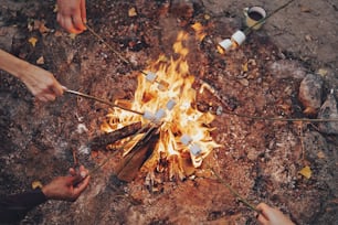 Close up top view of young people roasting marshmallows over a bonfire while camping outdoors