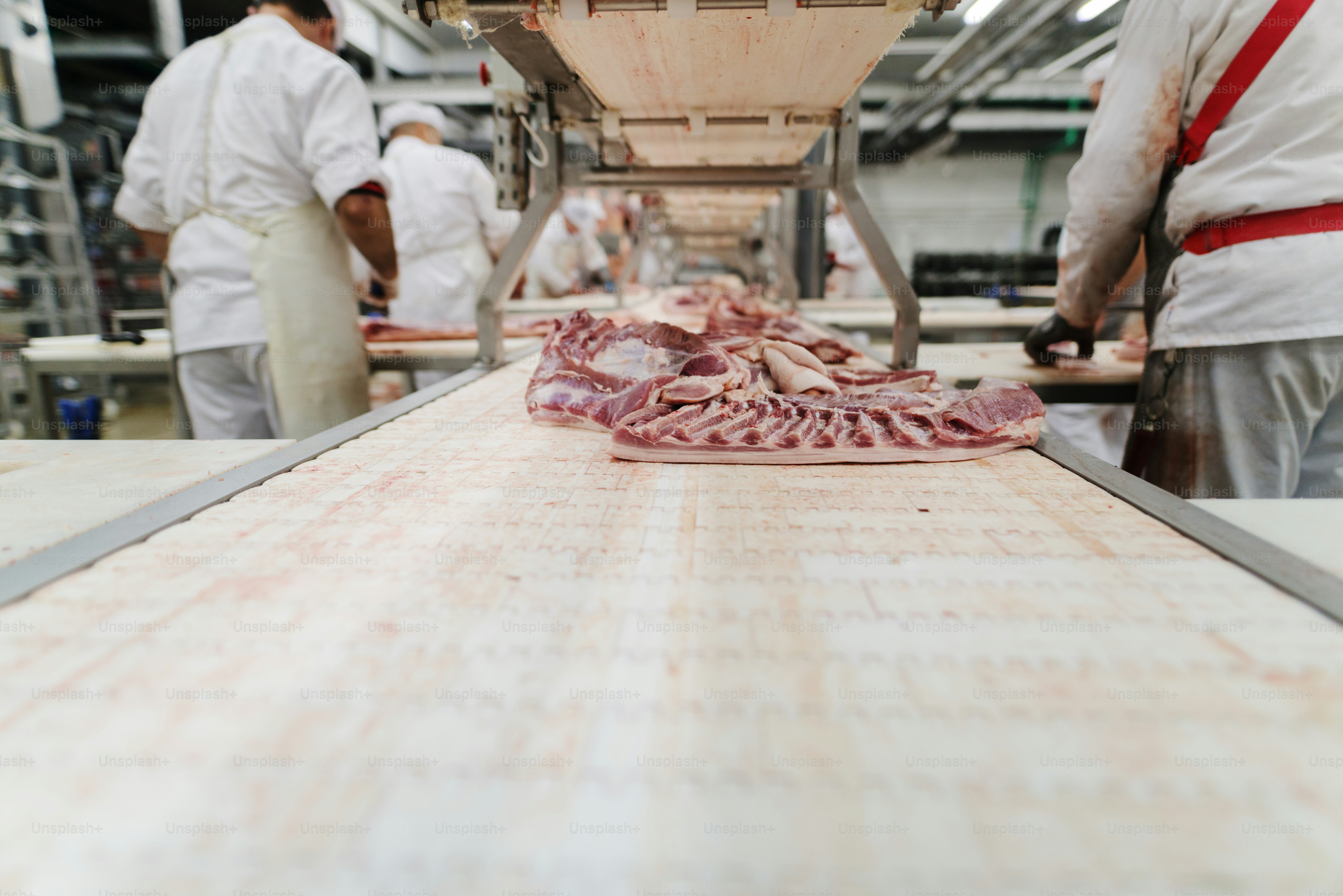 Os trabalhadores da indústria de carne lidam com a carne organizando o carregamento de transporte de embalagem na fábrica de carne.