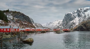 冬のヌスフィヨルドの本格的な漁村のパノラマ。ロフォーテン諸島、ノルウェー
