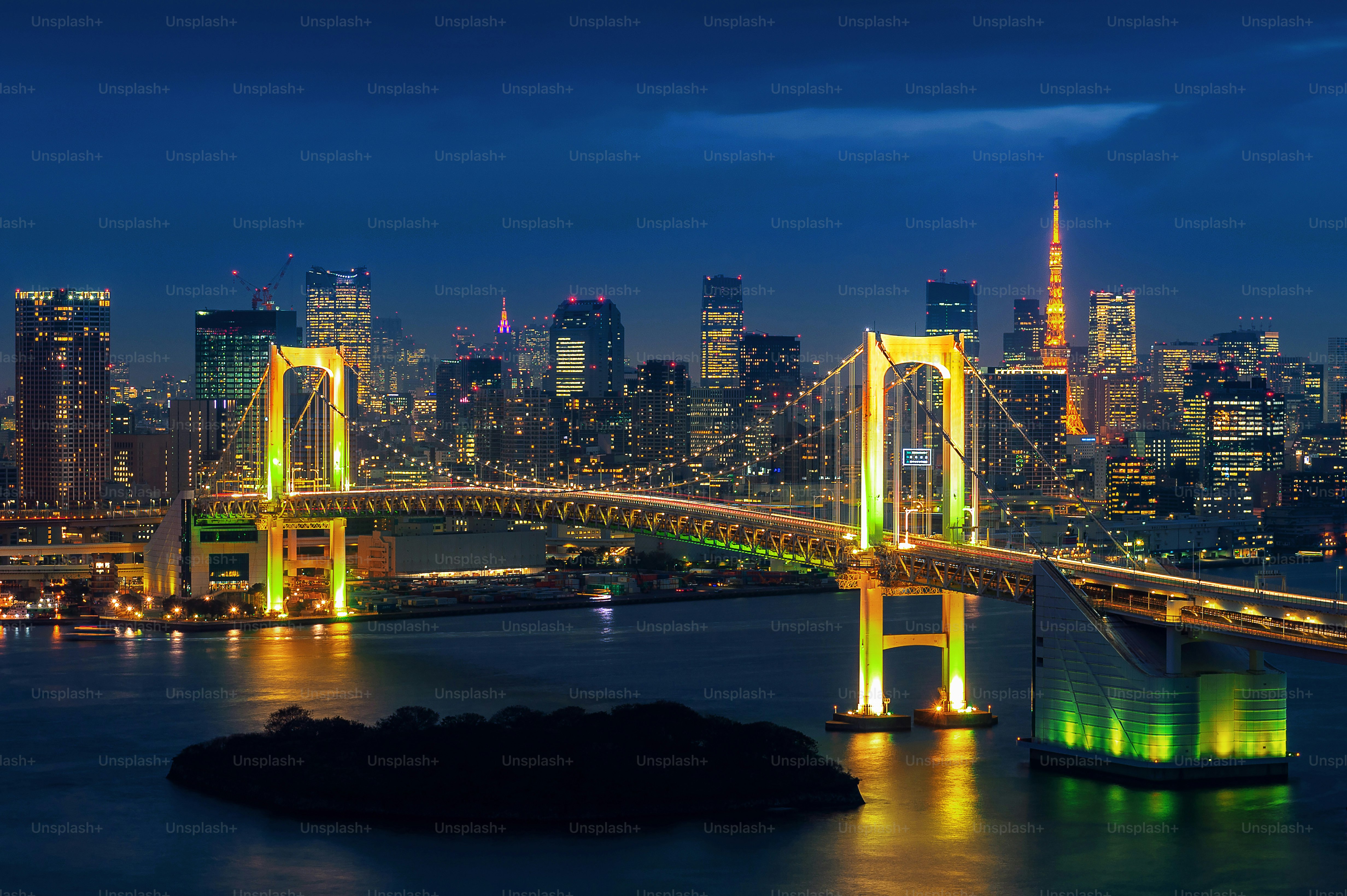 Tokyo skyline with Rainbow bridge and Tokyo tower. Tokyo, Japan.