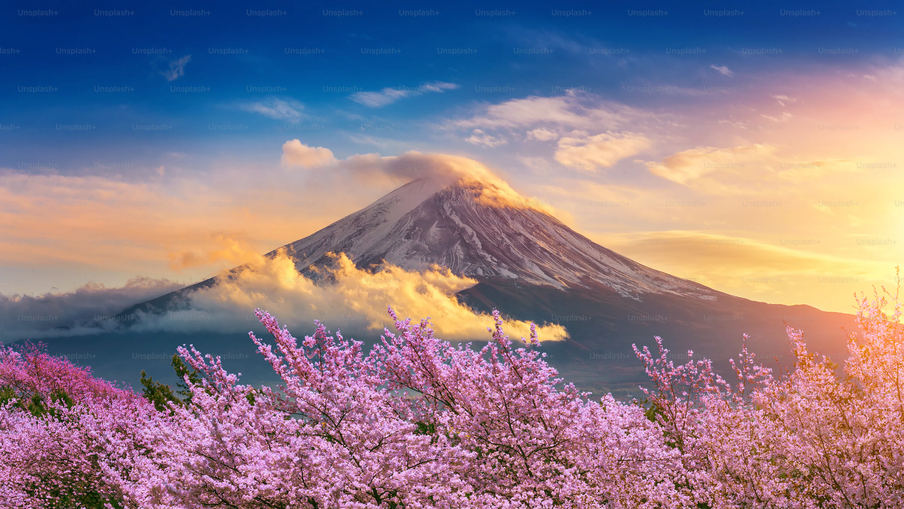 foto gunung fuji, salah satu tujuan liburan ke luar negeri di jepang