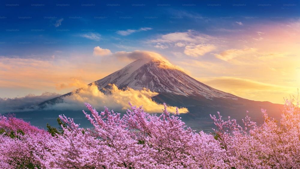 Fuji Berg und Kirschblüten im Frühling, Japan.