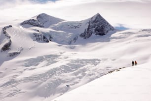 two backcountry skiers stand on a high alpine glacier in the Austrian Alps in winter under a blue sky