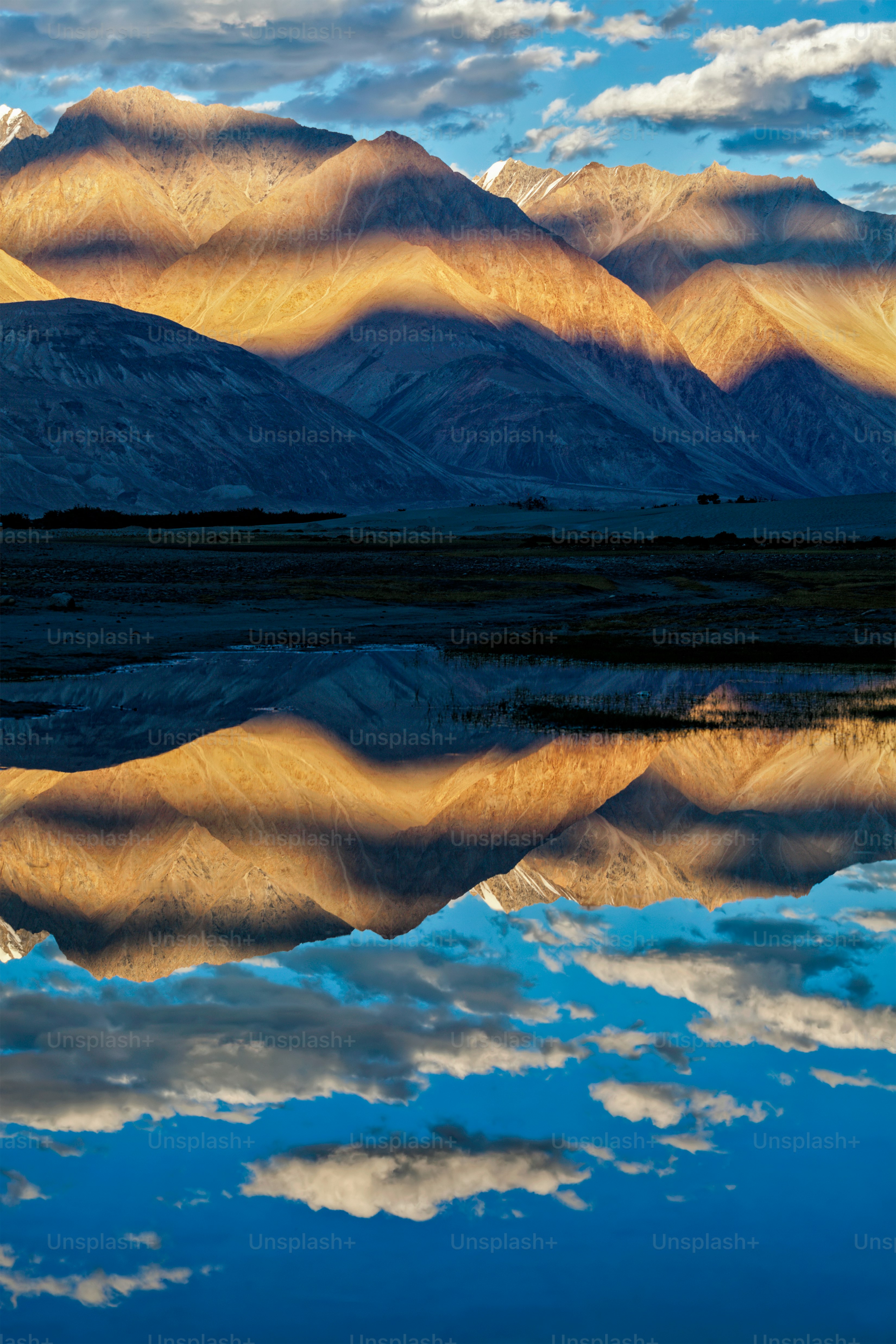 Himalaya al tramonto con carovana di cammelli. Hunber, valle di Nubra, Ladakh, India