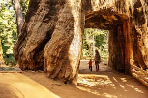 Mother with toddler visit Yosemite national park in California, USA