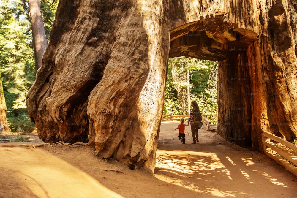 Mutter mit Kleinkind besucht Yosemite-Nationalpark in Kalifornien, USA
