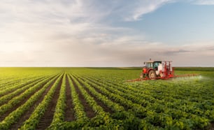 Tractor fumigando pesticidas en campos de soja