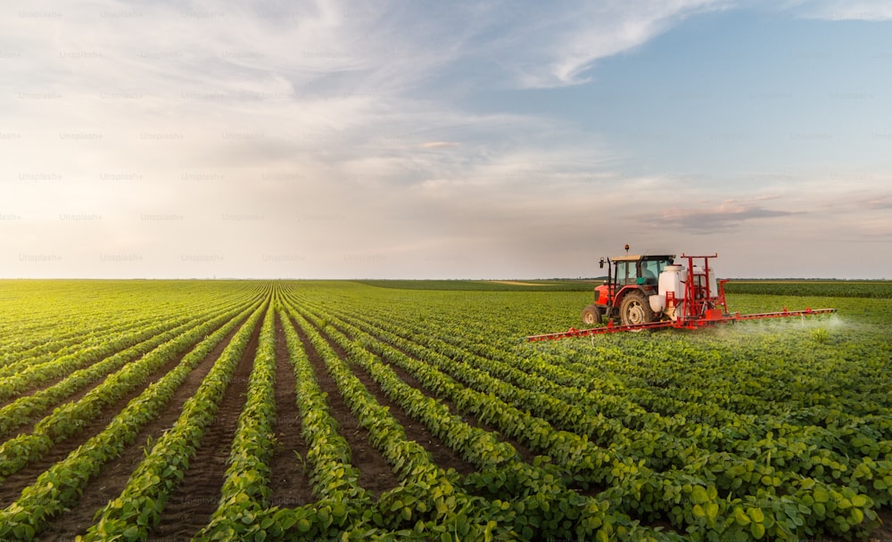 Tracteur pulvérisant des pesticides dans les champs de soja