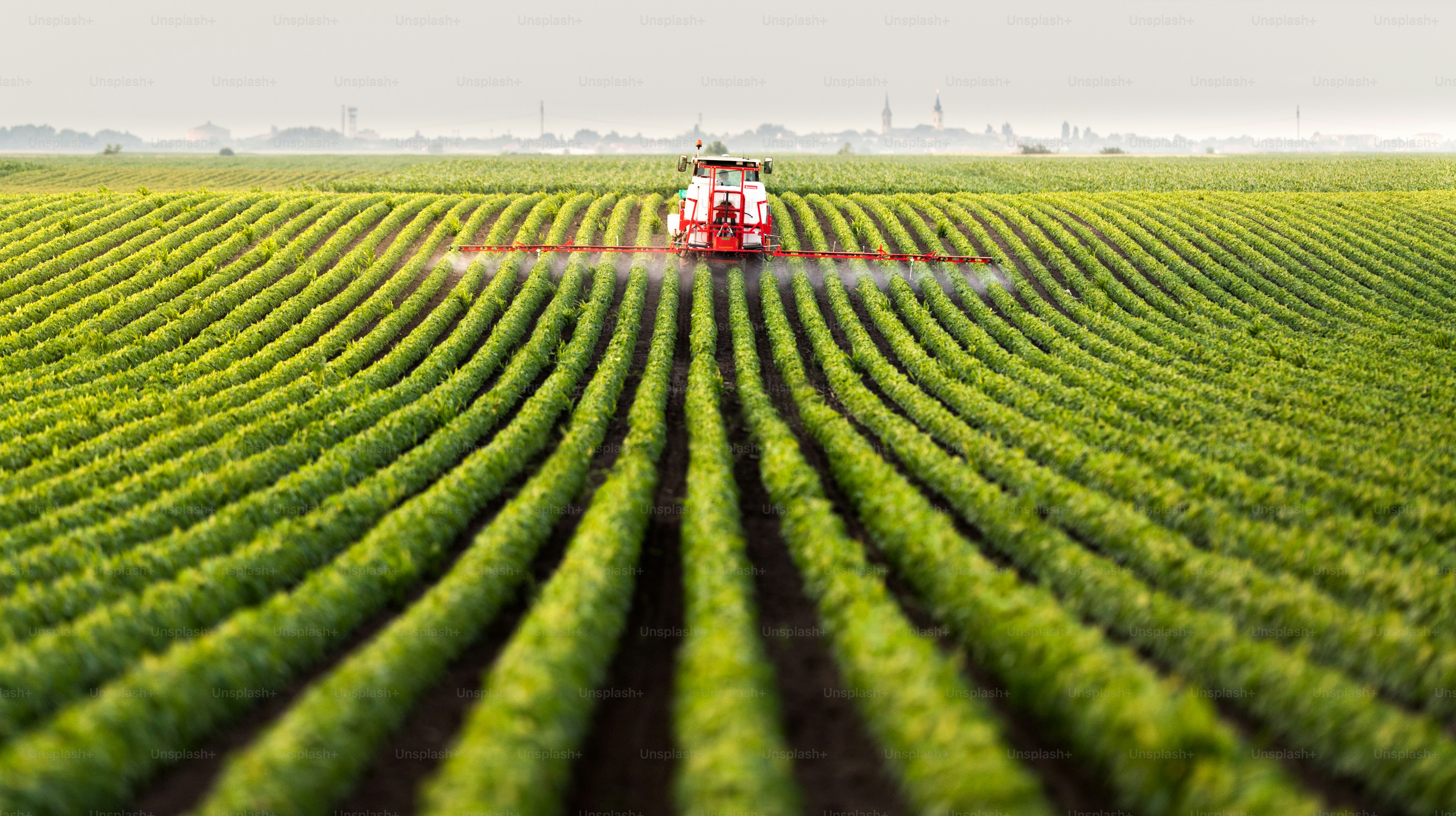 Traktor besprüht ein Sojabohnenfeld