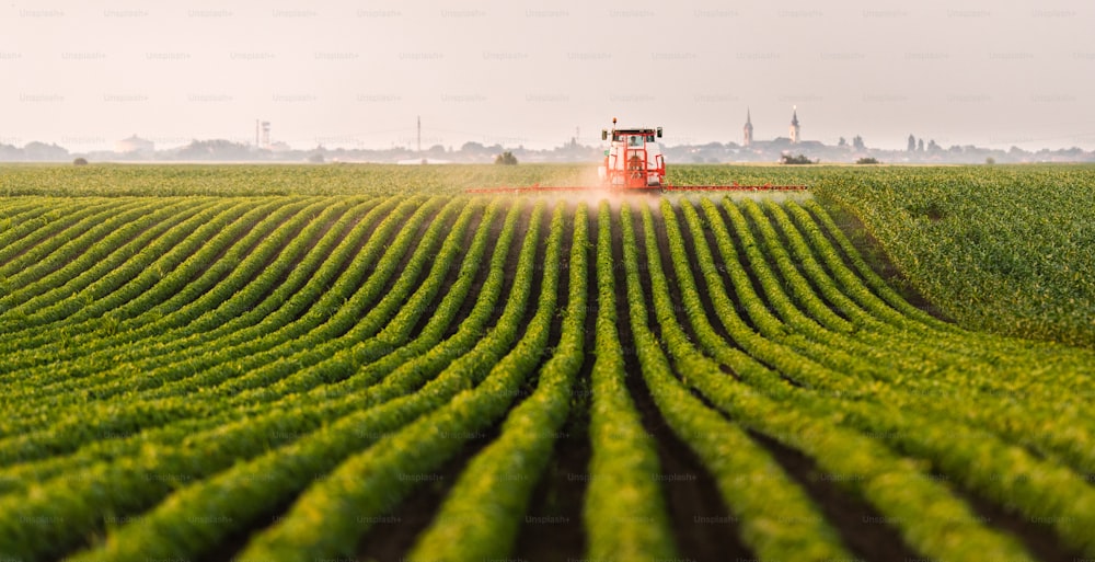 Tractor spraying a field of soybean