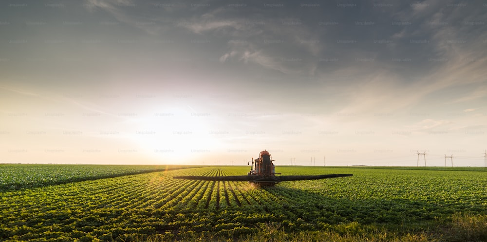 Traktor sprüht Pestizide auf Sojabohnenfelder