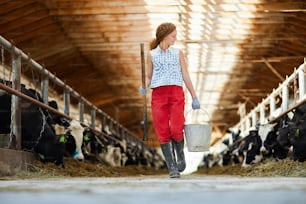 Young worker of livestock farm walking along two stables with cows after work