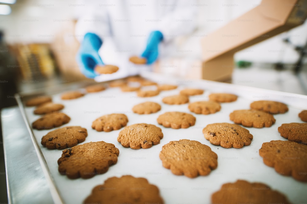 Close up of fresh cookies made in food factory.