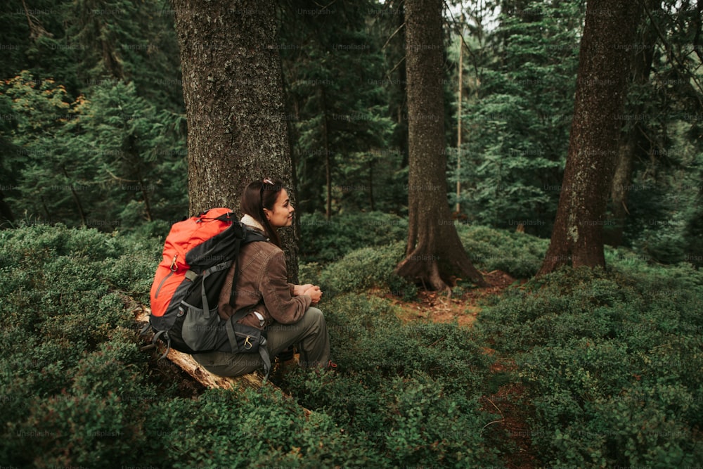 My journey. Back view of young beautiful lady resting in coniferous wood. She is travelling alone and having break