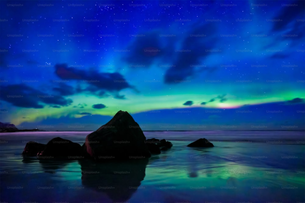 オーロラ・ボレアリス・オーロラがスカグサンデン・ビーチに灯ります。ロフォーテン諸島、ノルウェー