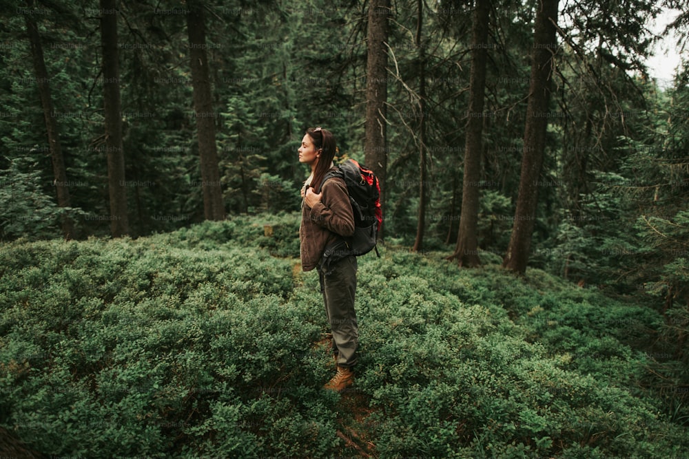 Alone with nature. Full length side view portrait of beautiful young lady with closed eyes feeling atmosphere of coniferous wood