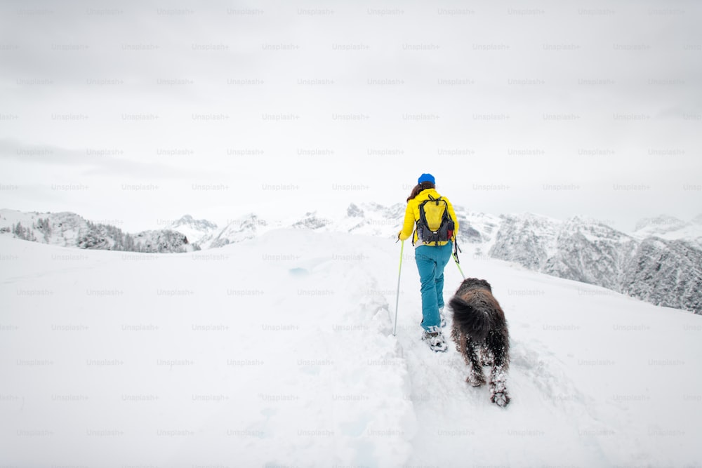 Snowshoeing in the mountains a single woman with her beloved dog.