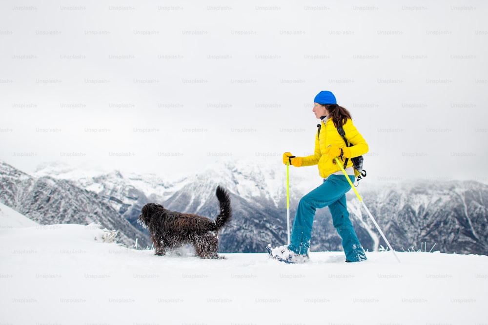 black dog with a girl on a walk with snowshoes in the mountains.