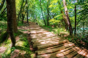 Hermoso sendero de madera para caminatas por la naturaleza a través de un exuberante paisaje forestal en el Parque Nacional de los Lagos de Plitvice, patrimonio natural de la humanidad de la UNESCO y famoso destino turístico de Croacia.
