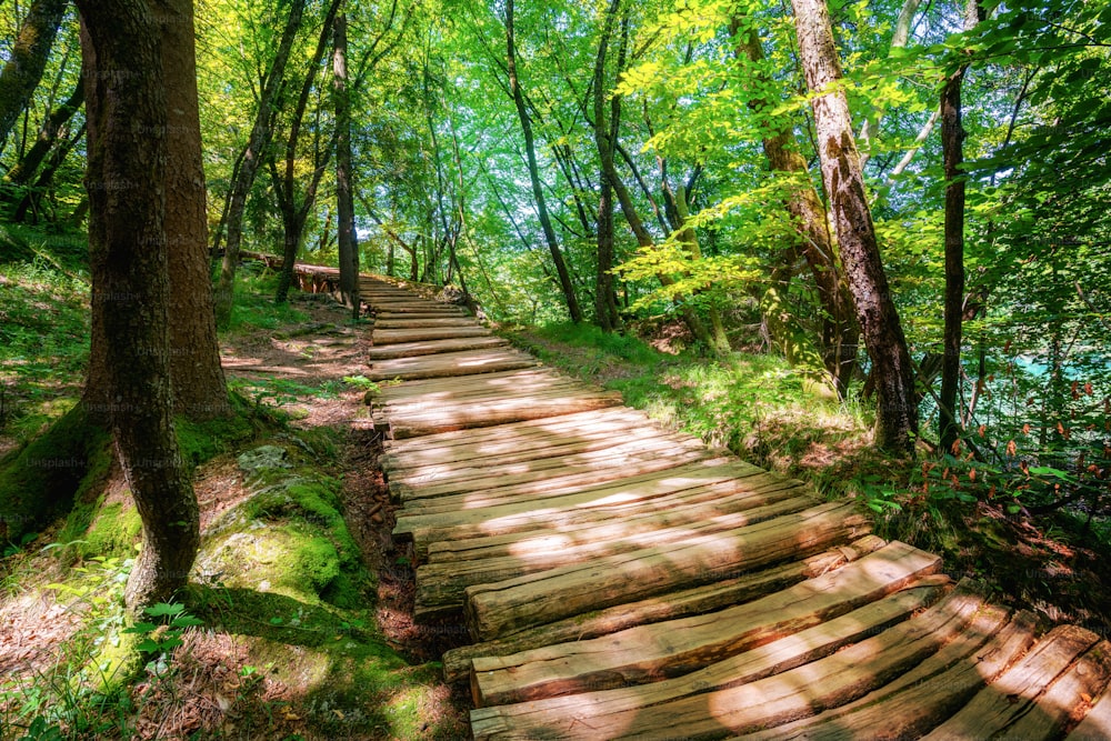 Hermoso sendero de madera para caminatas por la naturaleza a través de un exuberante paisaje forestal en el Parque Nacional de los Lagos de Plitvice, patrimonio natural de la humanidad de la UNESCO y famoso destino turístico de Croacia.