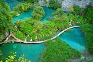 Hermoso sendero de madera para caminatas por la naturaleza con lagos y paisajes de cascadas en el Parque Nacional de los Lagos de Plitvice, patrimonio natural de la humanidad de la UNESCO y famoso destino turístico de Croacia.