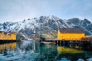 Nusfjord authentic fishing village in winter with red rorbu houses. Lofoten islands, Norway