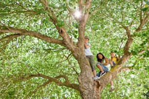 a group of people sitting on top of a tree