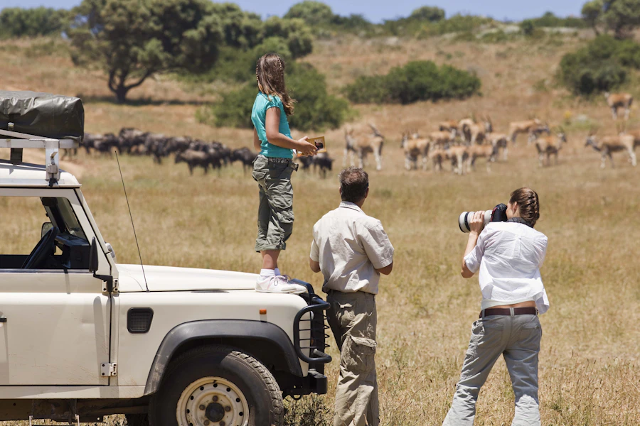 Masai Mara