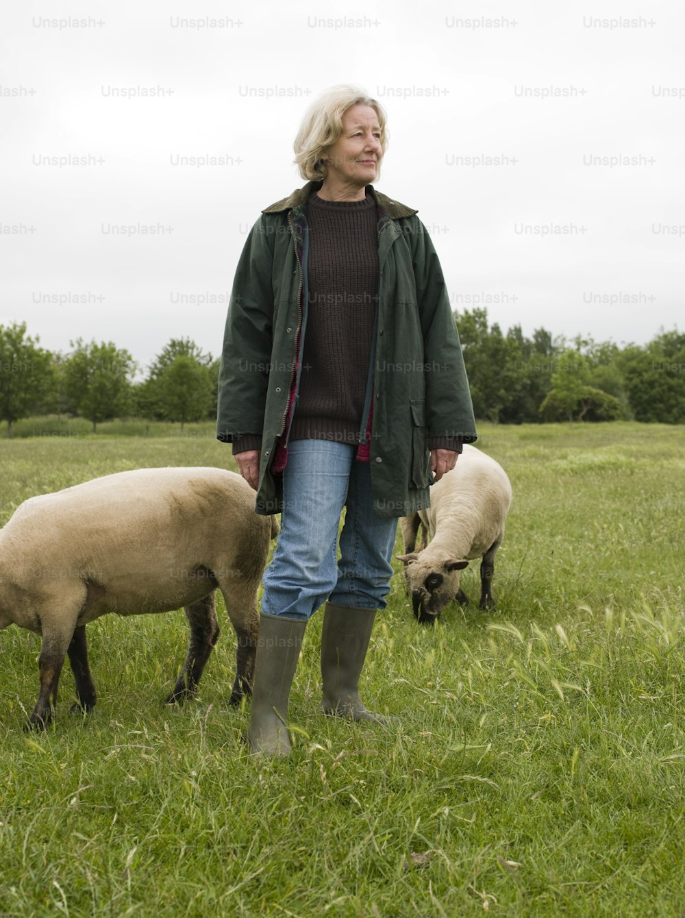 a woman standing in a field with two sheep