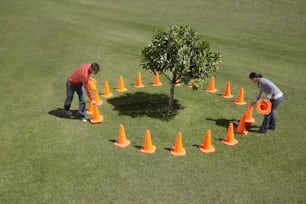 a couple of people that are standing in the grass