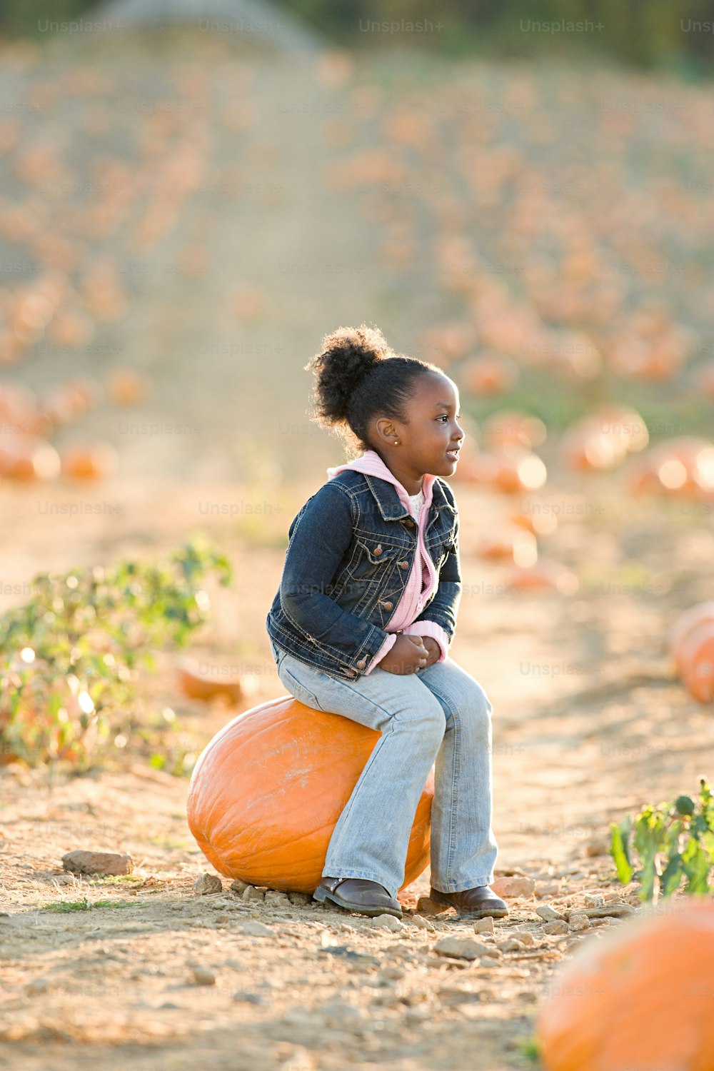 a little girl sitting on a pumpkin in a pumpkin patch